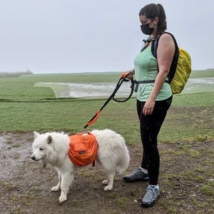 Meet your Posher, Haley